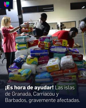Image post by @univision23 on Instagram