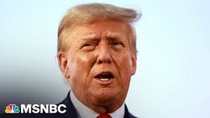Video post by @msnbc on YouTube