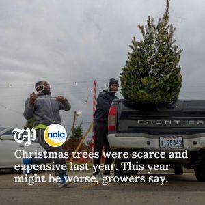 Image post by @nolanews on Instagram