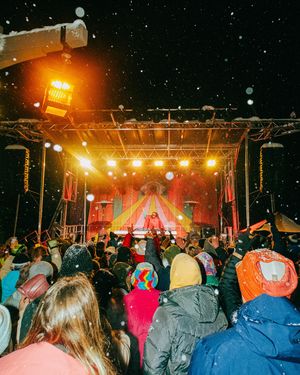 Image post by @treefortfest on Instagram
