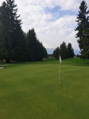 Image post by @BurmyGolf on Twitter