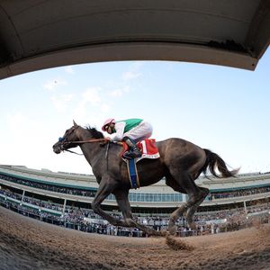Image post by @pegasusworldcup on Instagram
