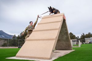 Image post by @af_academy on Instagram