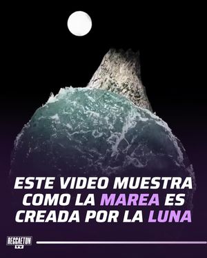 Image post by @reggaetontv on Instagram