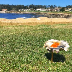 Image post by @pebblebeachresorts on Instagram