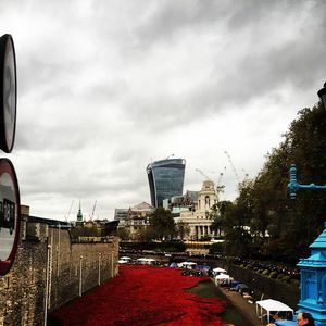 Image post by @seanjohngk on Instagram
