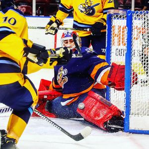 Image post by @swamprabbits on Instagram