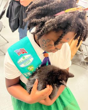 Image post by @girlscouts on Instagram