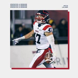 Image post by @mtlalouettes on Instagram