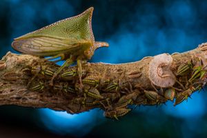 Image post by @natgeo on Instagram