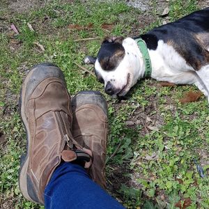 Image post by @equine_entrepreneurs_ on Instagram