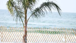Video post by @GoMocsBeachVB on Twitter