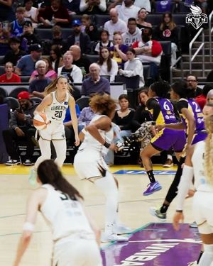 Image post by @nyliberty on Instagram