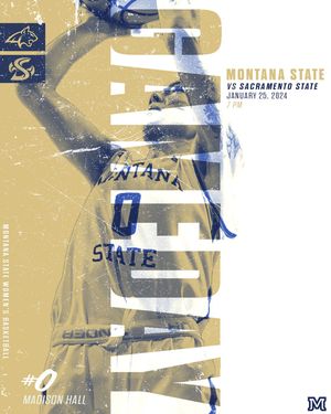 Image post by @msubobcatswbb on Instagram