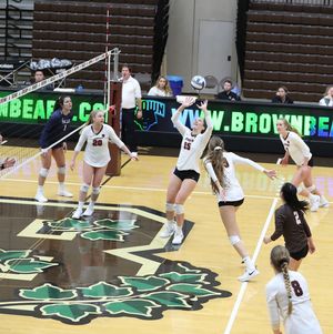 Image post by @brownu_vb on Instagram