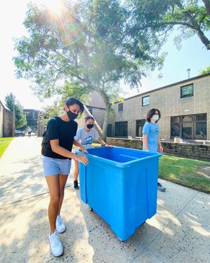 Image post by @hofstrau on Instagram
