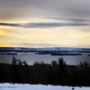 Image post by @themainemag on Instagram