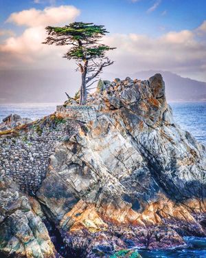 Image post by @pebblebeachresorts on Instagram