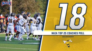 Image post by @GUjackets on Twitter