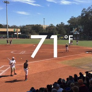 Image post by @hokiessoftball on Instagram