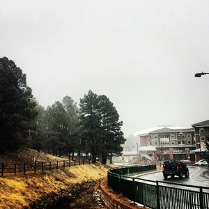 Image post by @nauflagstaff on Instagram