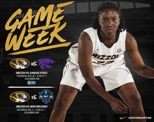 Image post by @mizzouwbb on Instagram