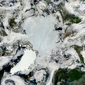 Image post by @ScienceChannel on Twitter