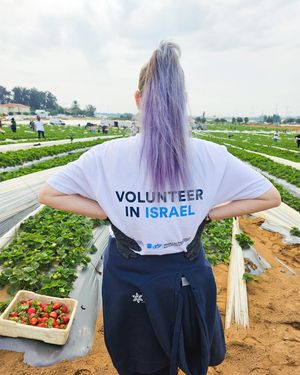 Image post by @birthrightisrael on Instagram