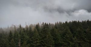 Image post by @chadthimsen on Instagram