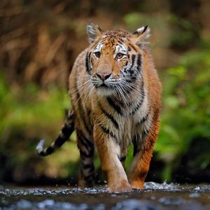 Image post by @discovery on Instagram