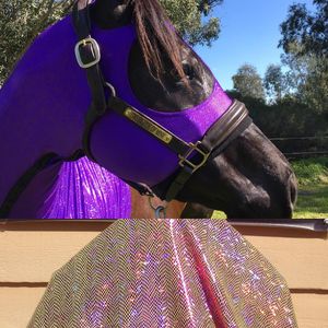 Image post by @flynhighhorsewear on Instagram