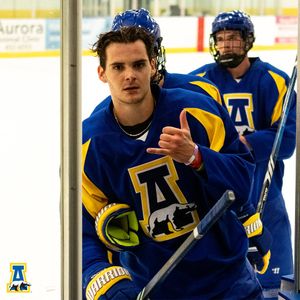 Image post by @NanooksHockey on Twitter