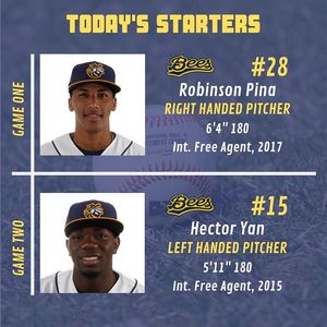 Image post by @burlington_bees on Instagram