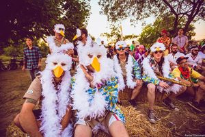 Image post by @dirtybirdcamp on Instagram