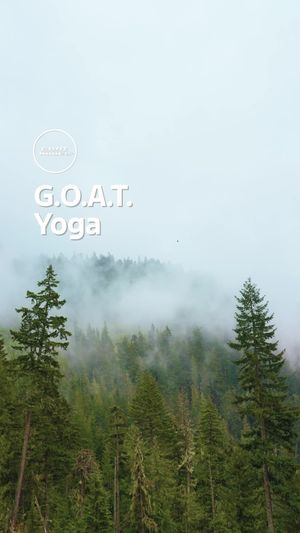 Video post by @ford on TikTok