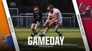 Image post by @purchasecollegeathletics on Instagram