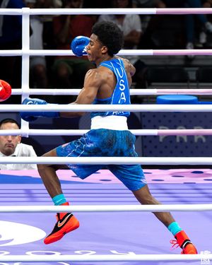 Image post by @usaboxing on Instagram