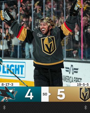 Image post by @nhl on Instagram