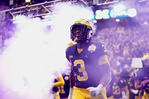 Image post by @AriannaGrainey on Twitter