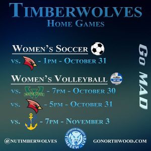 Image post by @nutimberwolves on Instagram