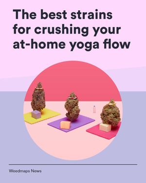 Image post by @weedmaps on Instagram