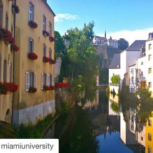 Image post by @miamialum on Instagram