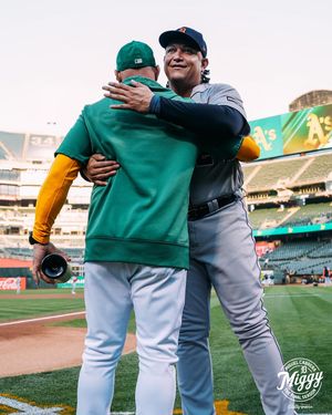 Image post by @tigers on Instagram