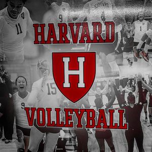 Image post by @harvardwvball on Instagram