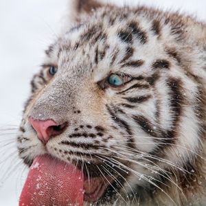 Image post by @discovery on Instagram
