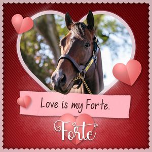 Image post by @spendthriftfarm on Instagram