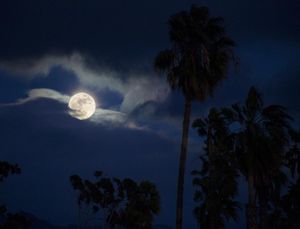 Image post by @jcrain23 on Instagram