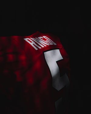 Image post by @GeorgiaFootball on Twitter