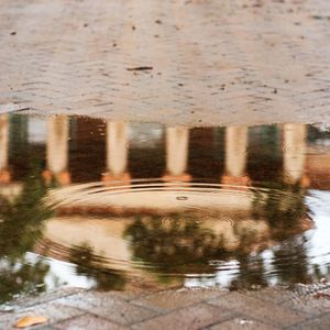Image post by @collegeofcharleston on Instagram