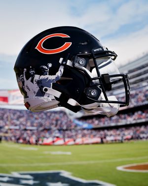 Image post by @whitesox on Instagram